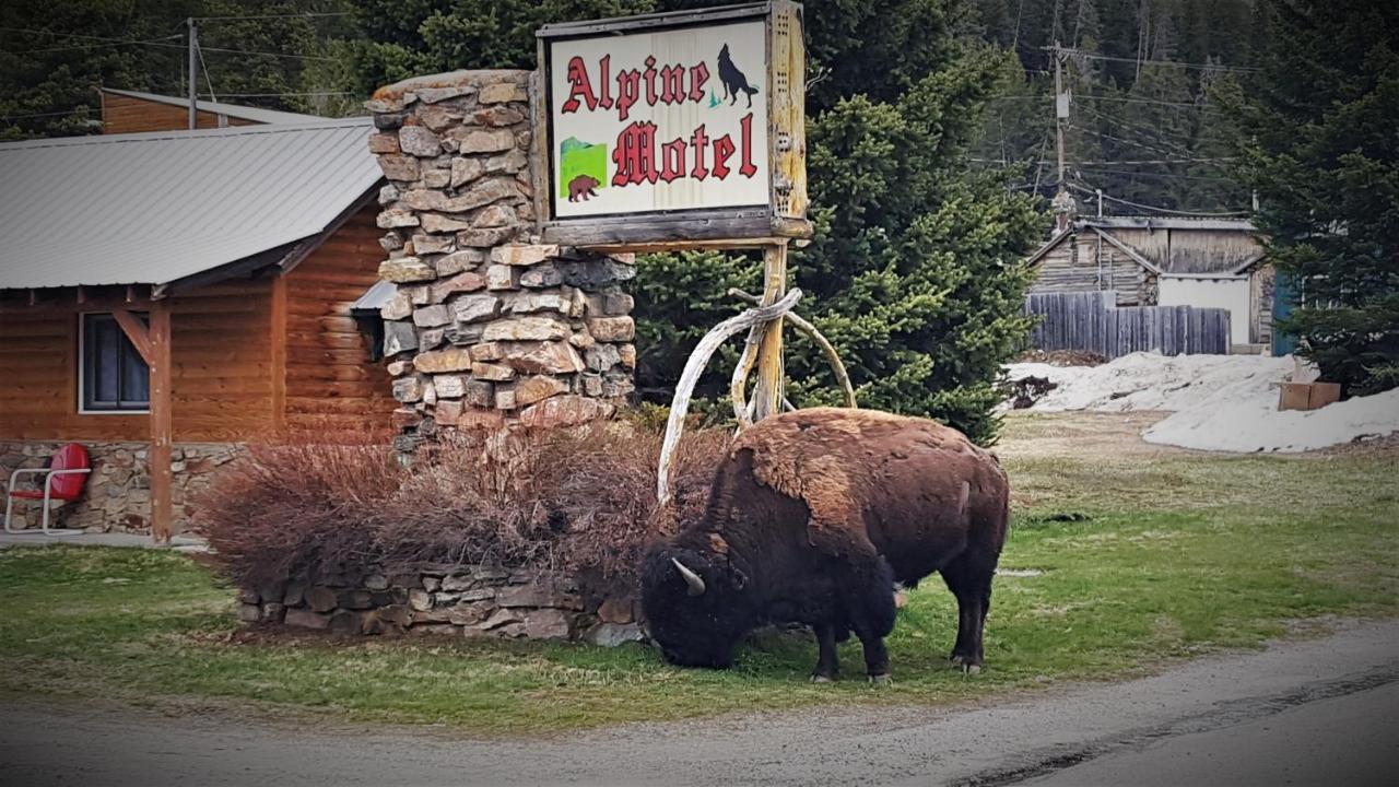 Alpine Motel Of คูกซิตี้ ภายนอก รูปภาพ